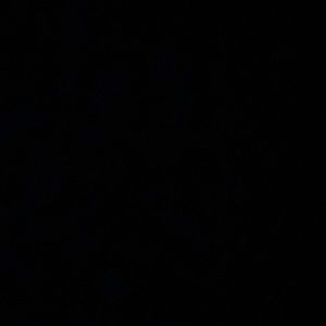 Meet your Posher, Rosy